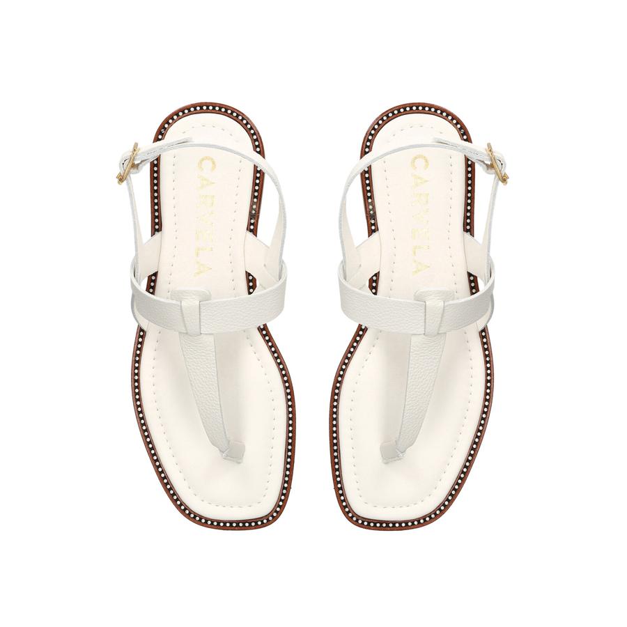 HORIZON CARVELA Summer