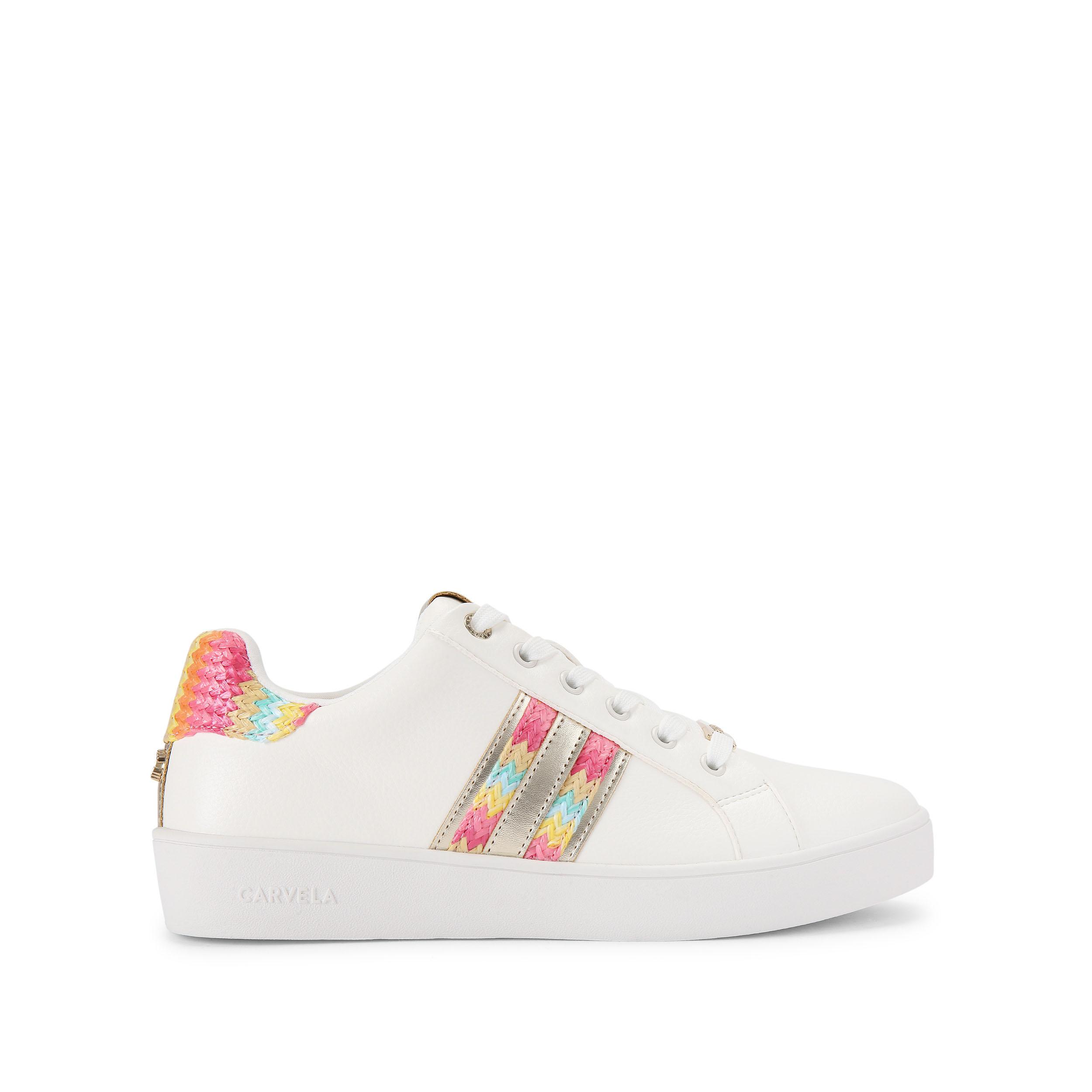 Rapid - multi-coloured