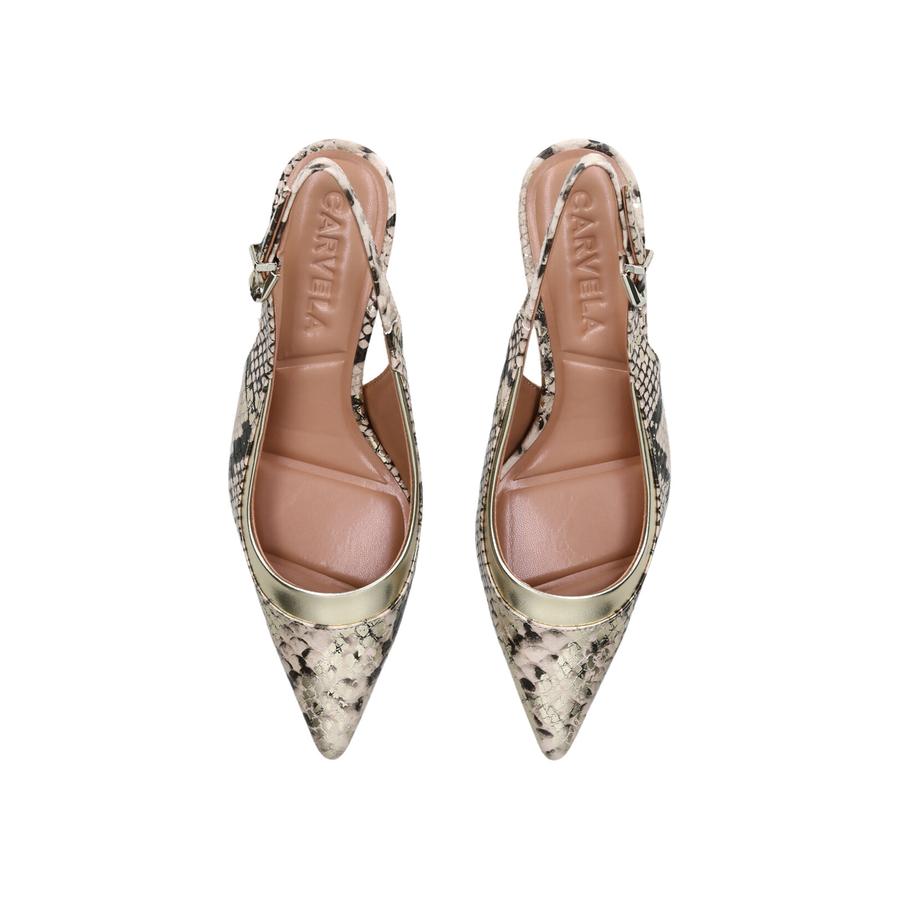 COUNTESS CARVELA Courts