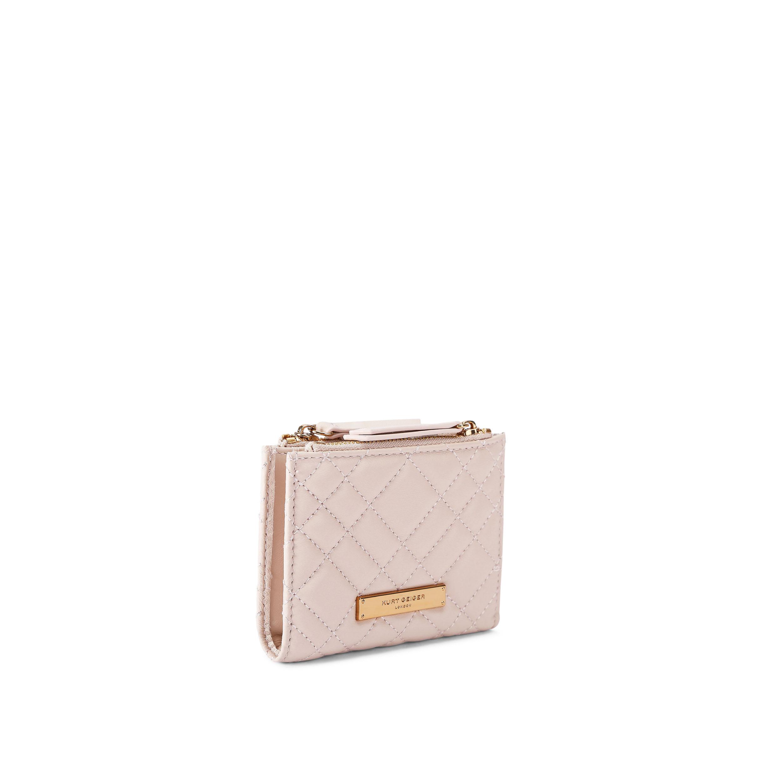 BRIXTON MINI PURSE PL - KURT GEIGER LONDON SMALL LEATHER GOODS