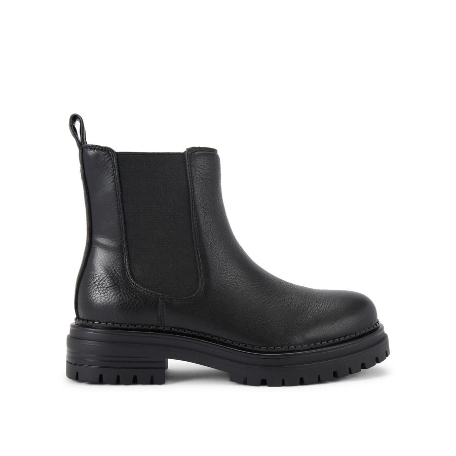 TASHA3 - KG KURT GEIGER Ankle Boots